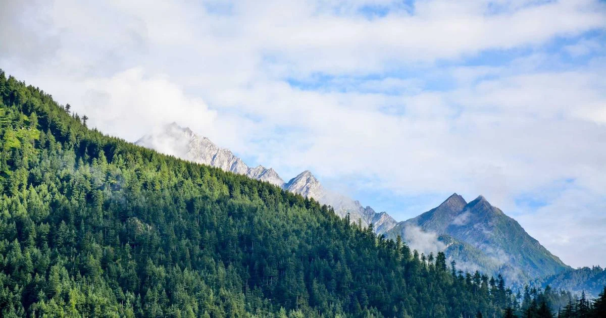 Landscape Telephoto Lens Buyer's Guide: Top Picks Reviewed